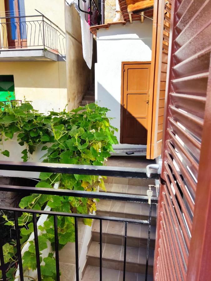 Da Piero & Lilia Villa Centola Exterior photo